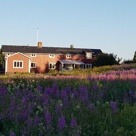 The Friendly Moose Hotel Overtornea Eksteriør billede