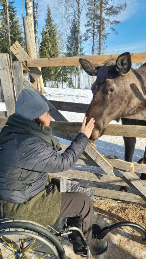 The Friendly Moose Hotel Overtornea Eksteriør billede