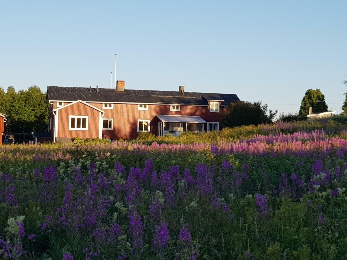 The Friendly Moose Hotel Overtornea Eksteriør billede